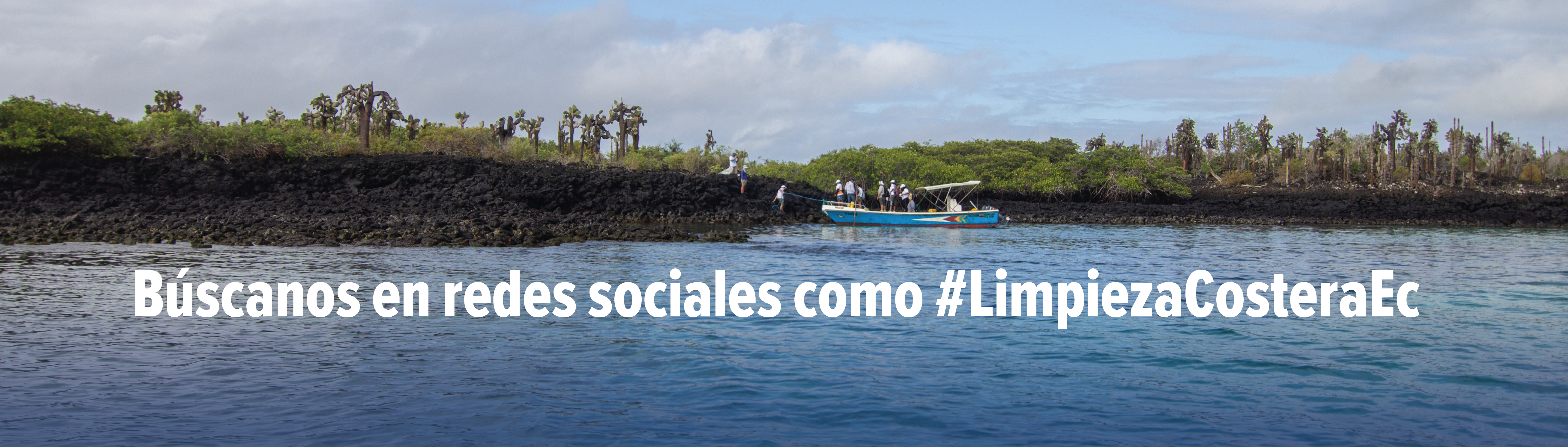 0Franja redes 0Franja redes