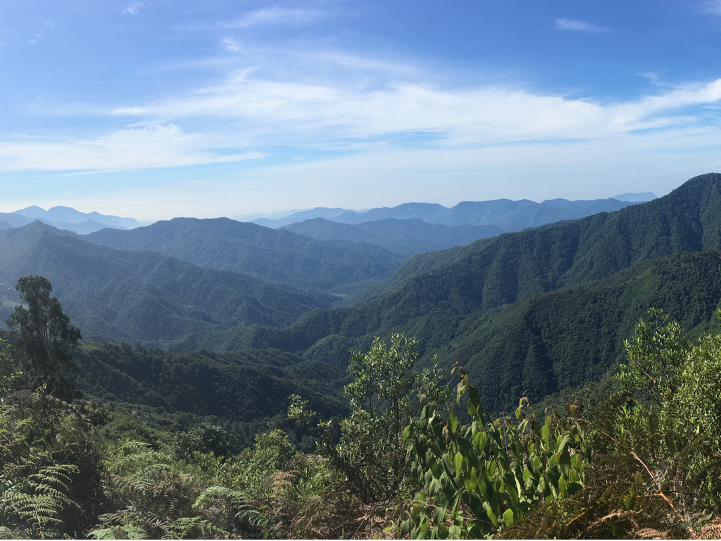 paisaje chiapas mexico