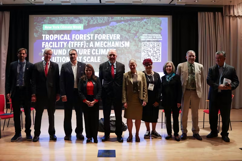 Supertrees: Painel aborda a importância do plantio de espécies nativas para produção de madeira e outros produtos e serviços ambientada numa nova economia florestal e na recuperação de paisagens degradadas em larga escala.